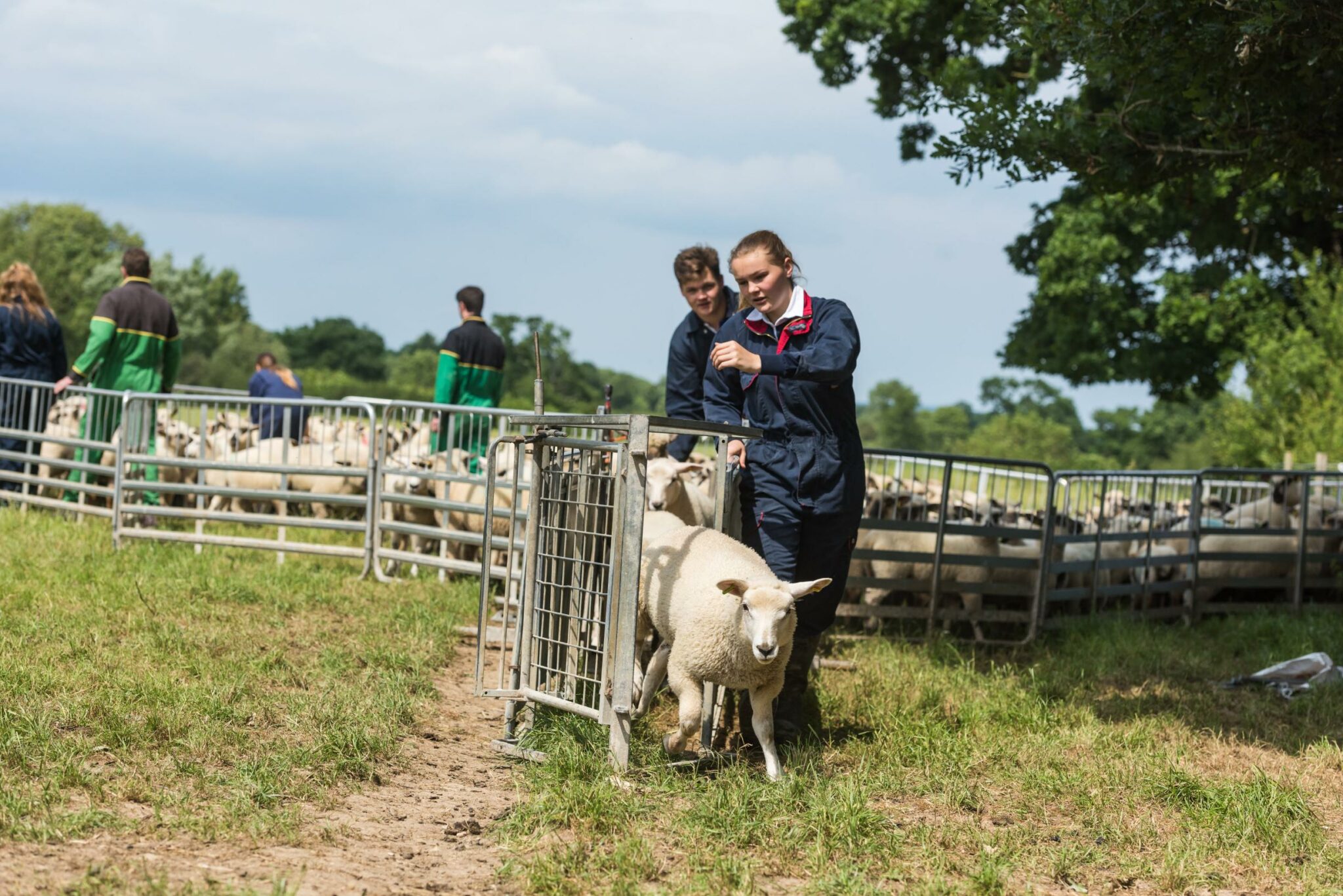 Agriculture | Brinsbury College