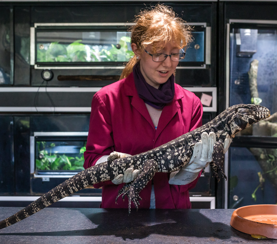 A student stood holding a lizard in a terrarium.