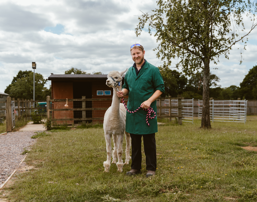 A student stood next to an alpaca in front of Brinsbury