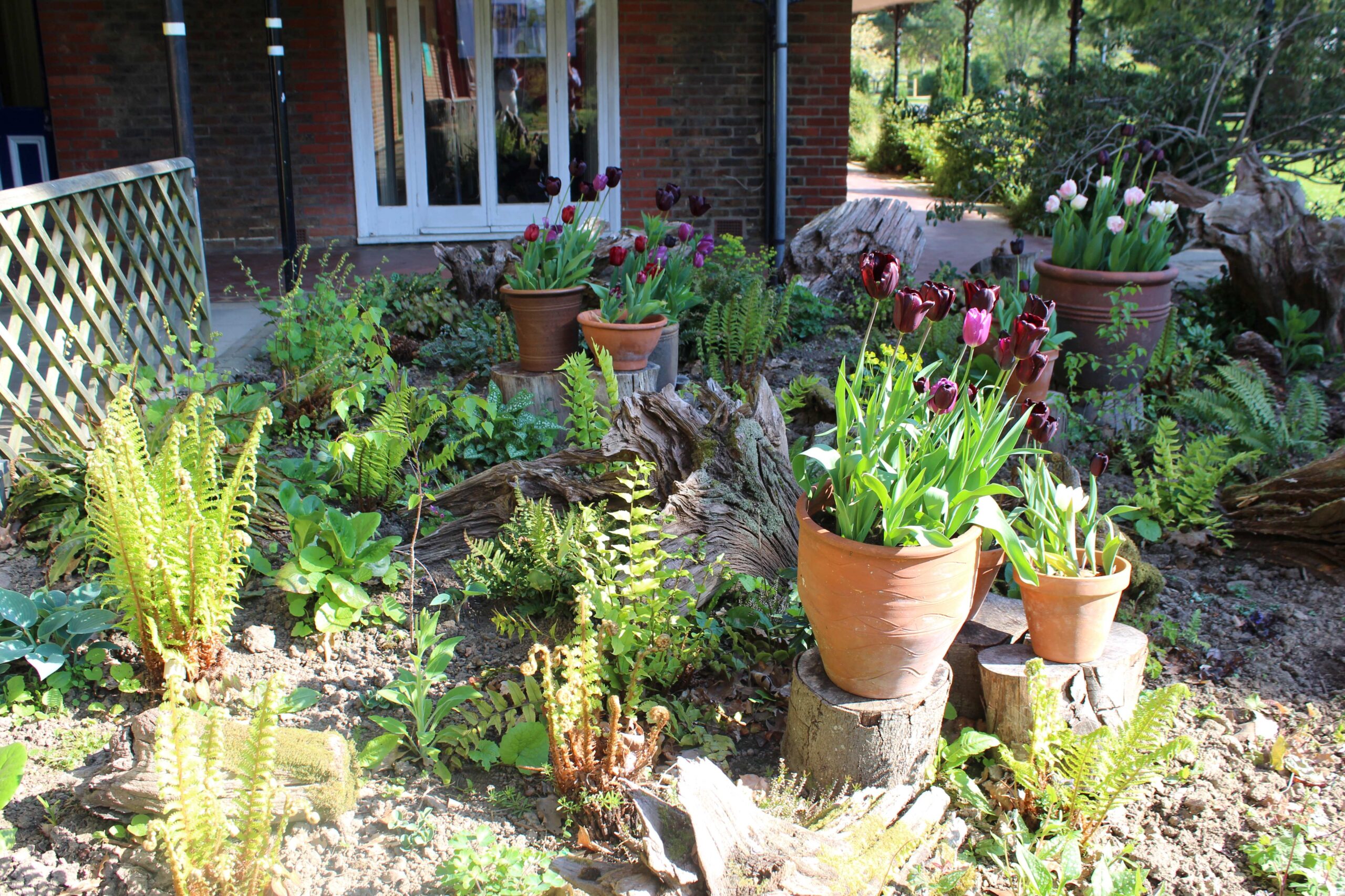 The ‘Stumpery Garden’ at Brinsbury College has been designed by Level Two Horticulture Operative Apprenticeship students