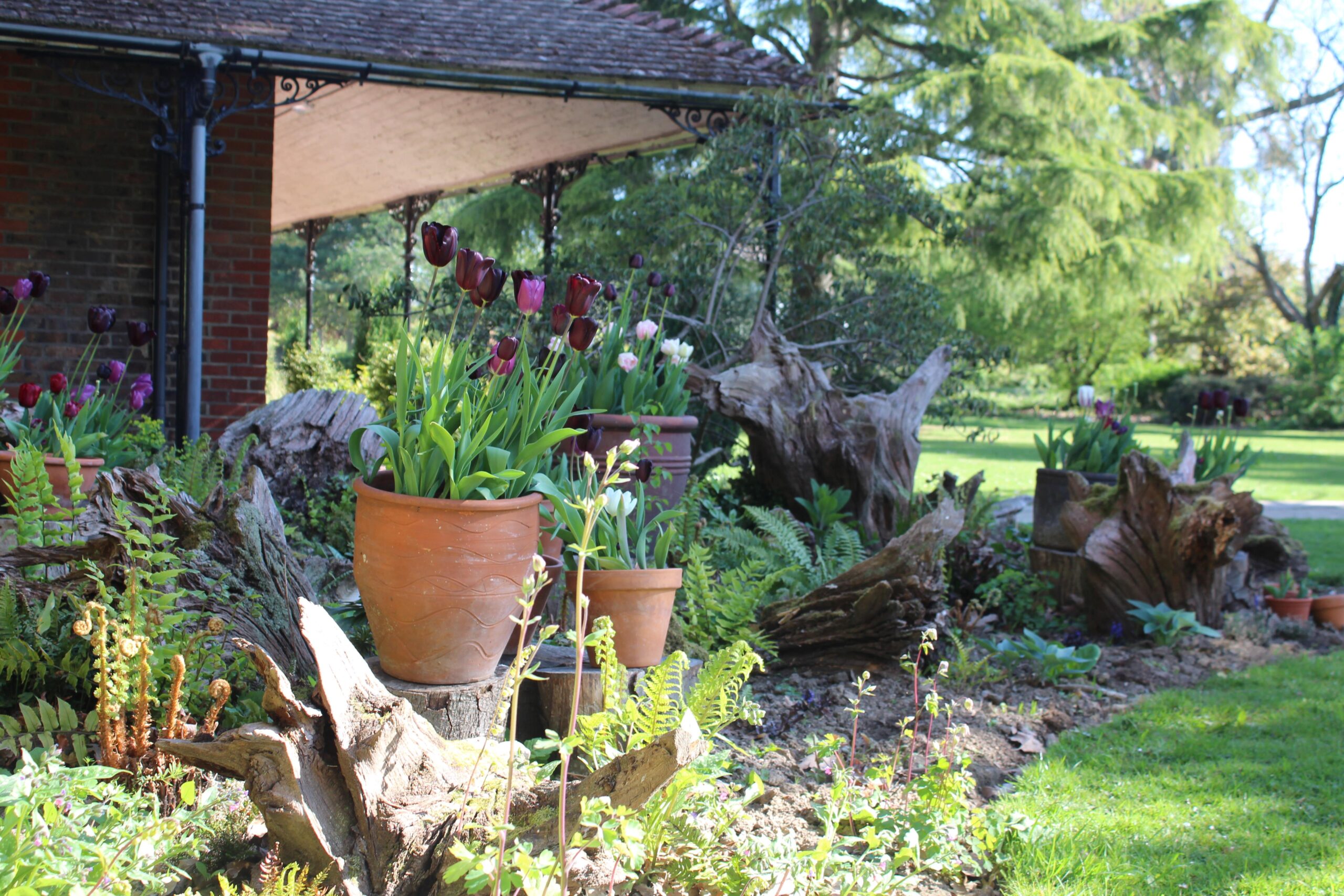The ‘Stumpery Garden’ at Brinsbury College has been designed by Level Two Horticulture Operative Apprenticeship students