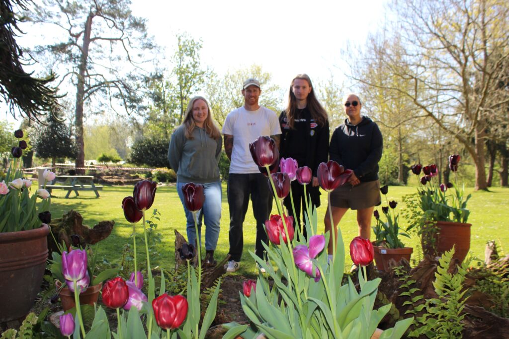 The ‘Stumpery Garden’ at Brinsbury College has been designed by Level Two Horticulture Operative Apprenticeship students